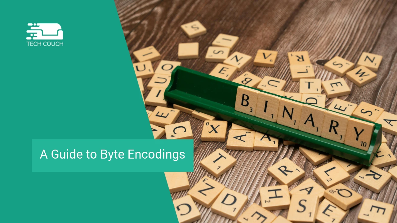 A guide to byte encodings